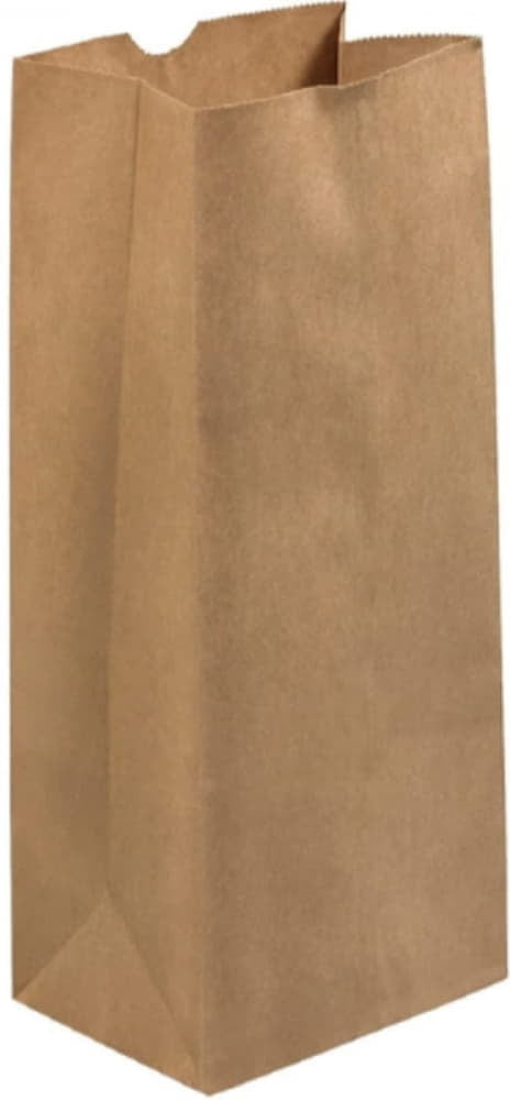 http://www.chefsupplies.ca/cdn/shop/files/Rosenbloom-6_25-x-3_75-x-12_5-8-Lb-Brown-Paper-Bag-500-Per-Bundle-1000800C00.jpg?v=1701393327