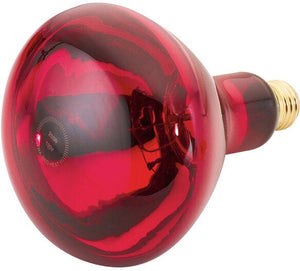 Cres Cor - 120V Shatterproof Red Infrared Light Bulb - EO 0820 001 SP