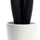 Cuisivin - Cereus Black Trivet With Porcelain Bowl - TT1B