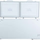 Danby - 17.1 Cu. Ft. Two Door Chest Freezer - DCFM171A1WDB