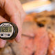 Escali - 4.75" Digital Pocket Thermometer - DHT1