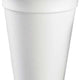 Genpak - 10 Oz Plain Foam Cups, Pack of 1000 - 100M