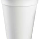 Genpak - 10 Oz Plain Foam Cups, Pack of 1000 - 100M