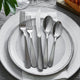 HENCKELS - Lucena 65 PC Flatware Set - 1020323