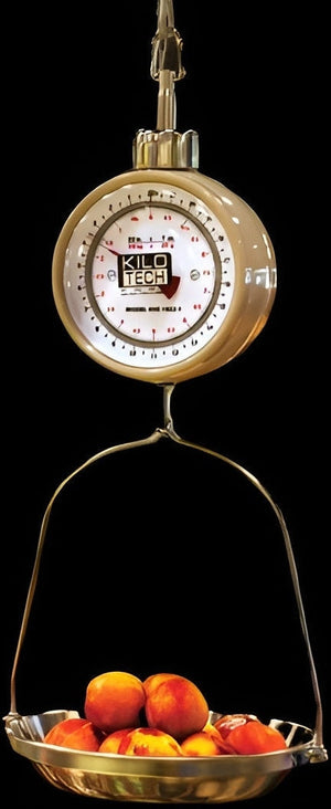 Kilotech - KHS 1022, 7" Dial 22 lb x 1 Oz Hanging Scale - K852410