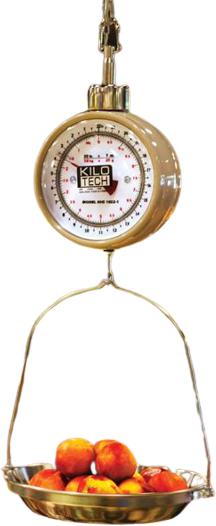 Kilotech - KHS 1022, 7" Dial 22 lb x 1 Oz Hanging Scale - K852410