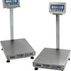 Kilotech - TOP GUN KPL MS 12" x 12", 15 Kg Bench & Platform Scale With KIN 2000 WR Indicator (ASSEMBLED - Certified) - K880521