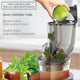 Kuvings - 240W Black Luxury Cold Press Whole Slow Juicer - REVO830