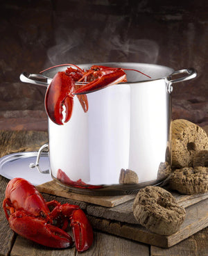 Meyer - 9 L Accolade Series Stock Pot with Lid - 2201-24-09