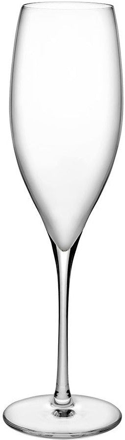 Nude - TERROIR 10.25 Oz Champagne Glass, Pack of 1- NG66098