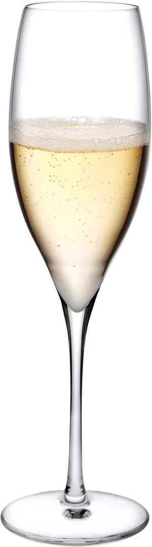 Nude - TERROIR 10.25 Oz Champagne Glass, Pack of 1- NG66098