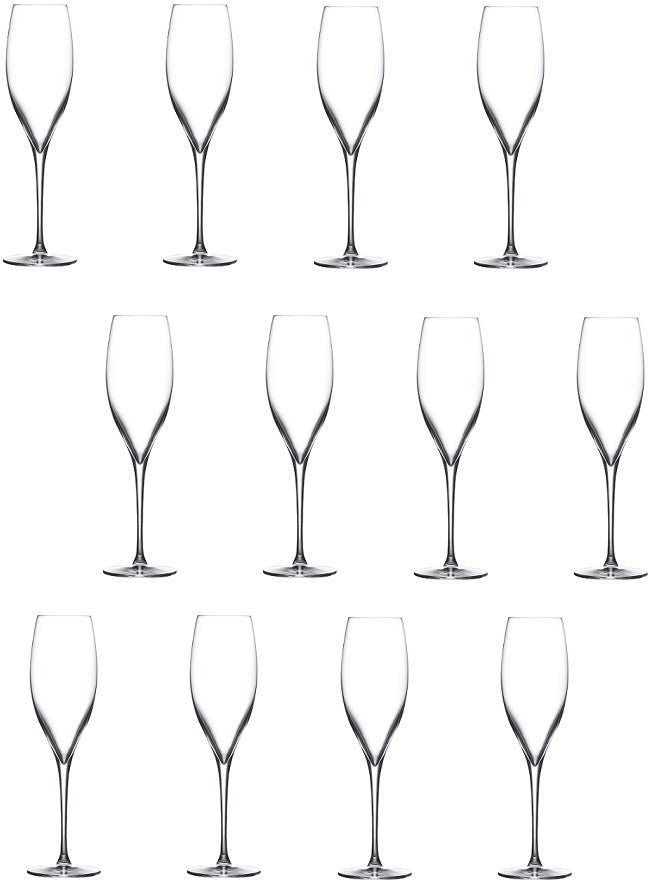 Nude - TERROIR 10.25 Oz Champagne Glass, Pack of 1- NG66098