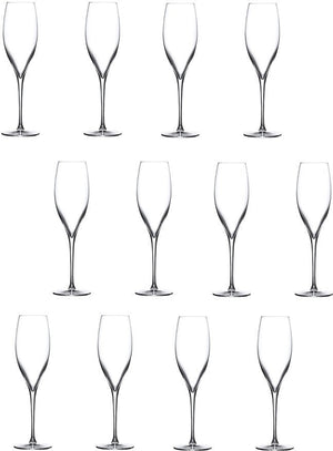 Nude - TERROIR 10.25 Oz Champagne Glass, Pack of 1- NG66098