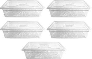 Omcan - Full Size 6" Deep Clear Food Pan, Pack of 5 - 80078