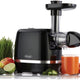 Omega - 150 Watts Black 365 Horizontal Cold Press Compact Masticating Juicer with Gray Cord and 2 Clear Juice and Pulp Containers - H3000R