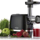 Omega - 150 Watts Black 365 Horizontal Cold Press Compact Masticating Juicer with Gray Cord and 2 Clear Juice and Pulp Containers - H3000R