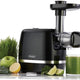 Omega - 150 Watts Black 365 Horizontal Cold Press Compact Masticating Juicer with Gray Cord and 2 Clear Juice and Pulp Containers - H3000R