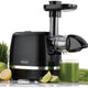 Omega - 150 Watts Black 365 Horizontal Cold Press Compact Masticating Juicer with Gray Cord and 2 Clear Juice and Pulp Containers - H3000R