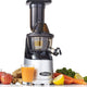 Omega - Silver MegaMouth Vertical Low-Speed Masticating Juicer - MMV700S