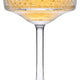 Pasabahce - ELYSIA 7.5 Oz Champagne Coupe Glass, Pack of 12 - PG440436