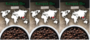 Peugeot - Kampot 3 x 20g Sachets of Cambodian Organic Black Pepper, Pack of 3 - 42455