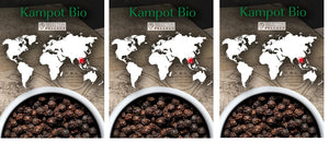 Peugeot - Kampot 3 x 20g Sachets of Cambodian Organic Black Pepper, Pack of 3 - 42462