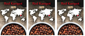 Peugeot - Kampot 3 x 20g Sachets of Cambodian Red Pepper, Pack of 3 - 42479