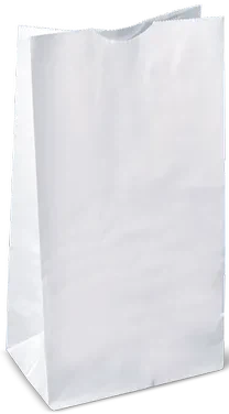 RiteEarth - 10 Lbs Plain White Paper Bag, Pack of 500, 2Bn/Case (1000/Case) - REPB100W