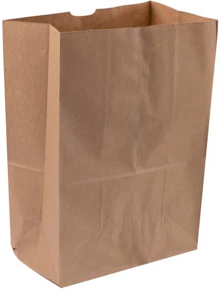 RiteEarth - 1/6 Kraft Plain Paper Barrel Bag, Pack of 400 - REPB665K