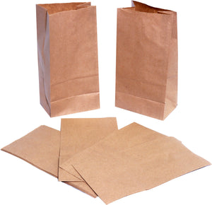 RiteEarth - 4 lb Kraft Paper Bag, Pack of 500 - PB040K