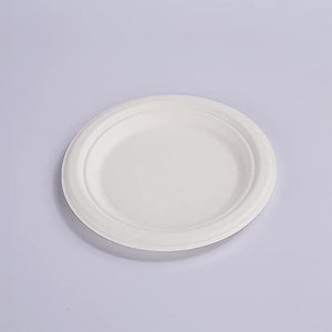 RiteEarth - 6" Bagasse Round Plates, Pack of 125, 1000/cs, 144Cs/Sk - REBP060