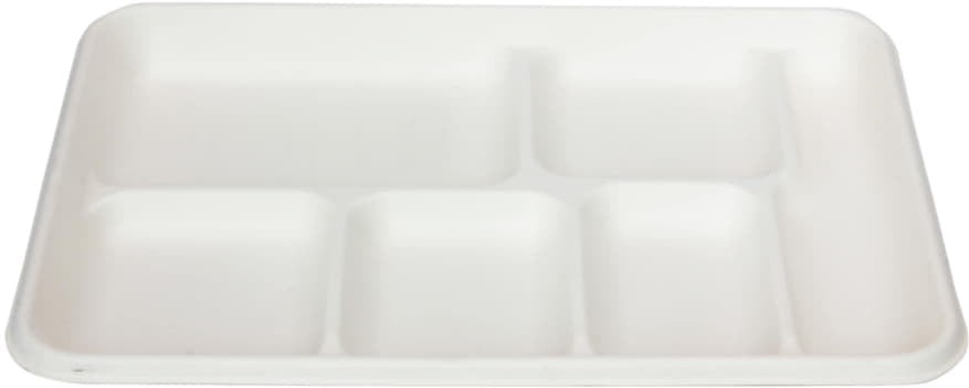 RiteEarth - 6 Compartment Bagasse Lunch Tray, Pack of 400- T106