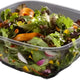 Sabert - 12 Oz Clear Square Plastic Bowl, 500/Cs- 15012B500