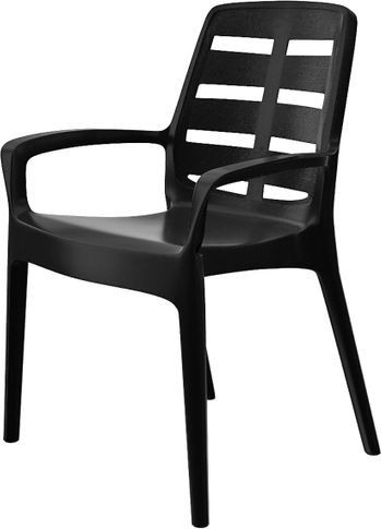 Tarrison - Borneo Arm Chair (Anthracite) - ASBORNANT