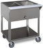 Tarrison - Mobile Serving Counter with Four Wet Bain Marie Wells - ST-4-59