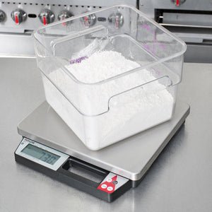 Taylor - 50 lb Digital Portion Control Scale with Handle - TE50