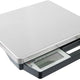 Taylor - 50 lb Digital Portion Control Scale with Handle - TE50