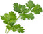 Veritable - Organic Flat Parsley Lingot - 7351102