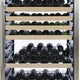 Vinotemp - 173 Bottle White Single-Zone Wine Cooler - EL‐300DSWL