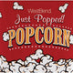 West Bend - 3 QT Reusable Plastic Theater Popcorn Bucket - PC10631