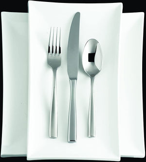 Fortessa - 9.2" Lucca Stainless Steel Table Knife Set of 12 - 1.5.102.00.005